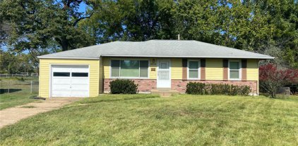 1101 Marchi  Drive, St Louis