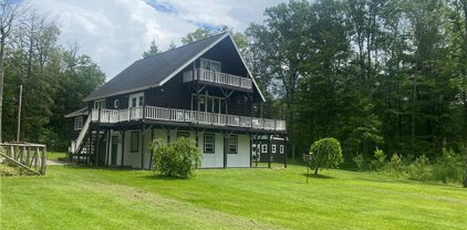 4936 Gee Brook  Road, Cincinnatus