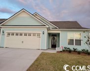 1226 Coneflower Way, North Myrtle Beach image