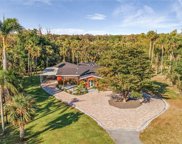 13191 Idylwild Farm Road, Fort Myers image