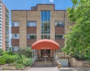 1130 N Pennsylvania Street Unit 308, Denver image