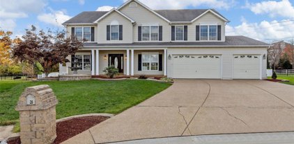 28 Wild Ginger Court, Dardenne Prairie