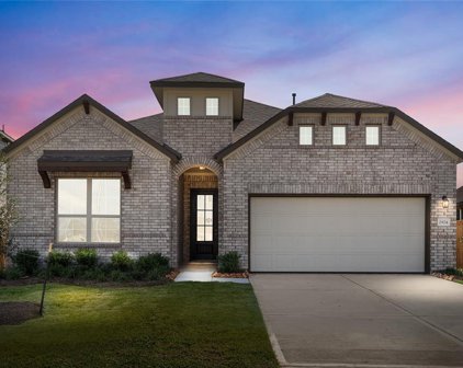 2924 Golden Dust Drive, Katy