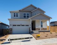 2039 Peachleaf Loop, Castle Rock image