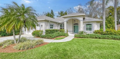 11309 Pine Lilly Place, Lakewood Ranch