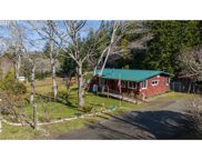 69903 RIDLING RD, North Bend image