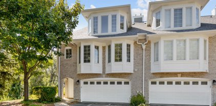 980 N Glenview Court, Palatine
