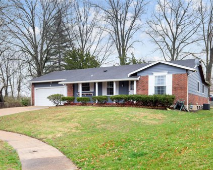 6 Ipswich  Court, Florissant