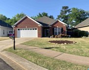 480 Trellis Circle, Springville image