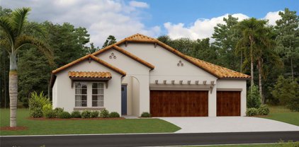 17174 Scuba Crest Street, Wimauma
