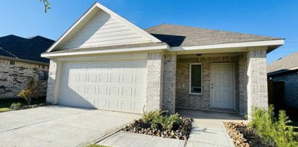 5060 Pismo Ray Drive, Katy