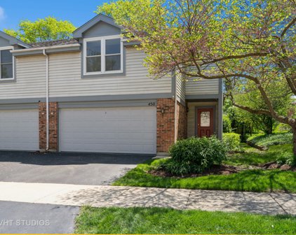 450 River Front Circle, Naperville