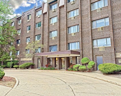 8444 W Wilson Avenue Unit #207S, Chicago