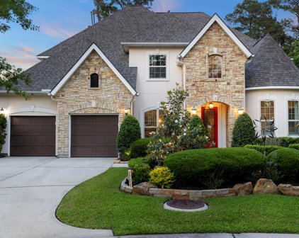 6 Quiet Yearling Place, Tomball