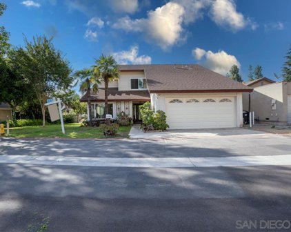 10115 Cliffside Pl, Spring Valley