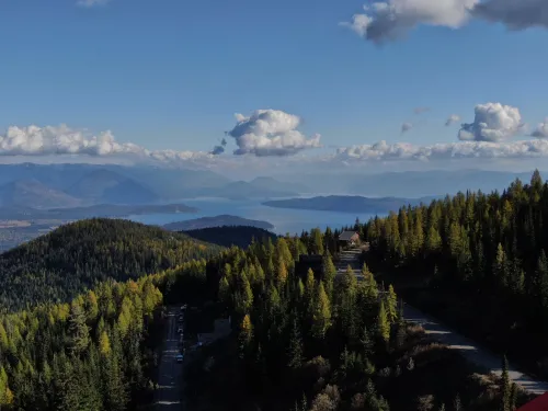 Schweitzer Summer View