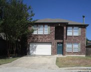 11011 Stagwood Pass, San Antonio image