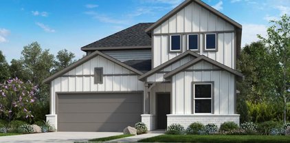 21619 Shadowbrook Birch Drive, Cypress