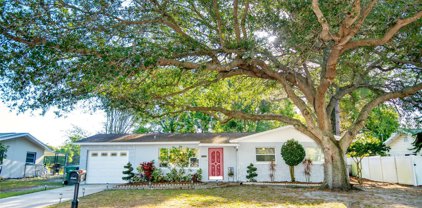 1413 Calamondin Lane W, Clearwater