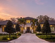 9718 Green Island Cove, Windermere image