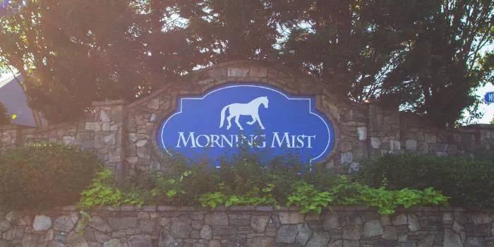 Homes for Sale in Morning Mist, Simpsonville